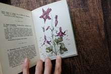 Pocket Vintage Flower Book