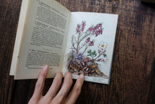 Pocket Vintage Flower Book