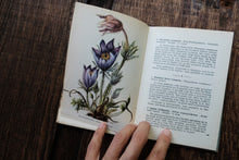 Pocket Vintage Flower Book