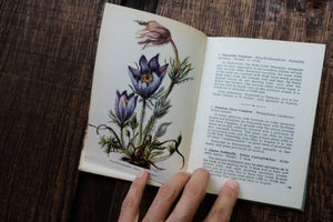 Pocket Vintage Flower Book