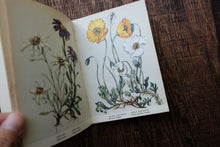 Pocket Vintage Flower Book