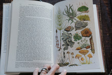 Open book with illustrations of plants and a hand holding it on a wooden surface