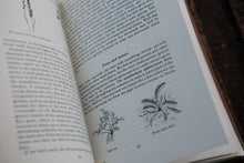 Open book with text and illustrations of plants on a wooden surface