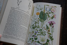 Open book with illustrations of plants and text on a wooden surface