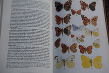 Open book with butterfly illustrations on a page