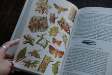 Open book with illustrations of insects and leaves, held by a hand.