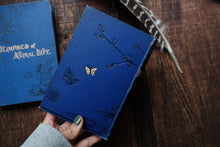 1880s - Nature Book