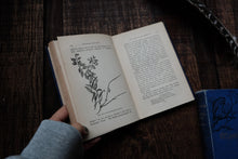 1880s - Nature Book