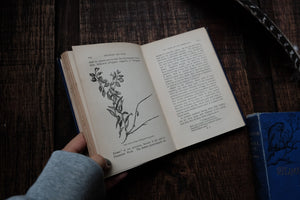1880s - Nature Book