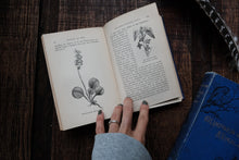 1880s - Nature Book
