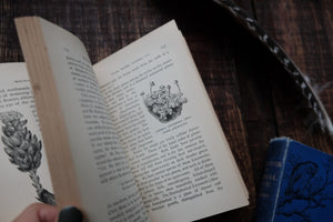 1880s - Nature Book