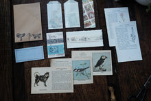 Ephemera Kit for Junk Journaling/Scrapbooking (price varies)