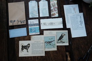 Ephemera Kit for Junk Journaling/Scrapbooking (price varies)