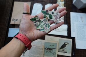 Ephemera Kit for Junk Journaling/Scrapbooking (price varies)