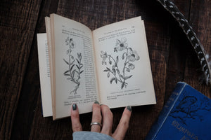 1880s - Nature Book