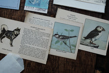 Ephemera Kit for Junk Journaling/Scrapbooking (price varies)