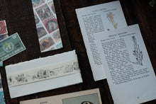 Ephemera Kit for Junk Journaling/Scrapbooking (price varies)