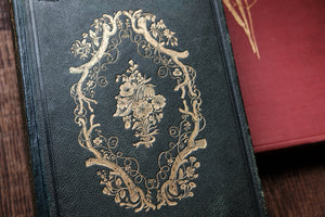 Our Wild Flowers - Flaw Binding (not collectible)