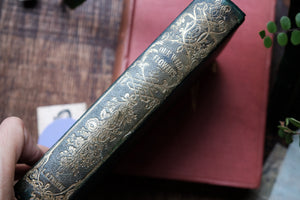 Our Wild Flowers - Flaw Binding (not collectible)