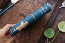 Andrew Lang - The Animal Stories Book