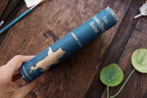 Andrew Lang - The Animal Stories Book