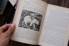 The Blue Fairy Book by Andrew Lang