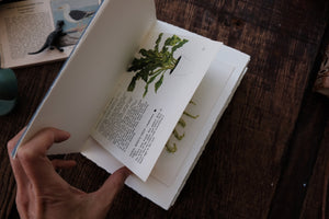 Watercolor Sketchbook with Hahnemühle Paper