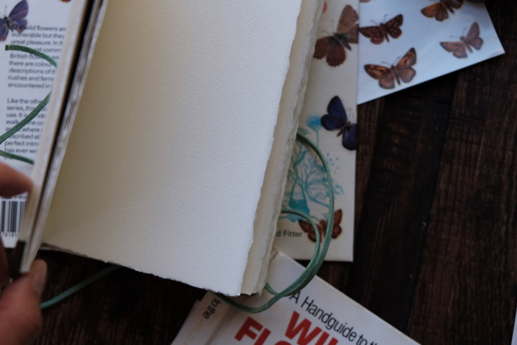 Casebound Botanical Book-cover-Sketchbook (Price Varies)