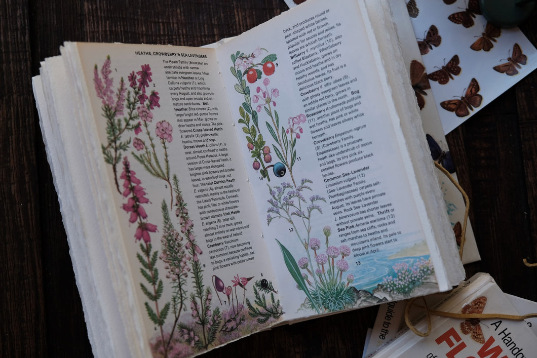 Casebound Botanical Book-cover-Sketchbook (Price Varies)
