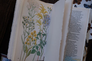 Casebound Botanical Book-cover-Sketchbook (Price Varies)