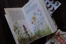 Casebound Botanical Book-cover-Sketchbook (Price Varies)