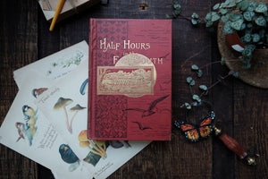 Half Hours in the Far South - The People and Scenery of the Tropics