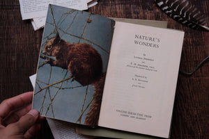 Nature's Wonders