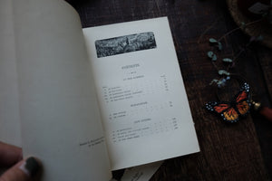 Half Hours in the Far South - The People and Scenery of the Tropics