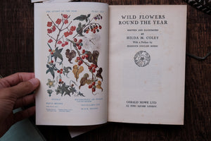 Wild Flowers Round the Year