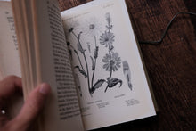 Wild Flowers Round the Year