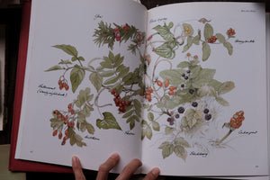 1980s Botanical/Nature Book