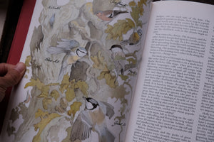 1980s Botanical/Nature Book