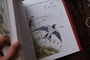 1980s Botanical/Nature Book