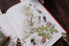 1980s Botanical/Nature Book