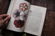 1870s - The Floral World & Garden Guide