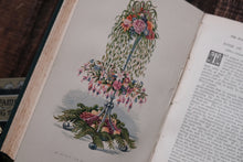 1870s - The Floral World & Garden Guide