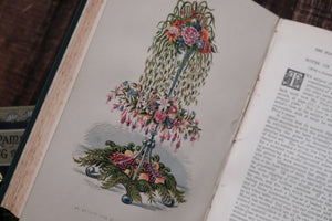 1870s - The Floral World & Garden Guide