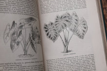 1870s - The Floral World & Garden Guide