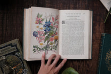1870s - The Floral World & Garden Guide