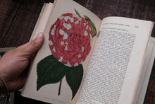 1870s - The Floral World & Garden Guide