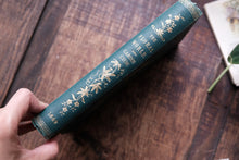 1860s - The Floral World & Garden Guide (loose page, not collectible)