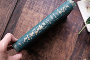 1860s - The Floral World & Garden Guide (loose page, not collectible)
