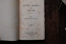 1860s - The Floral World & Garden Guide (loose page, not collectible)
