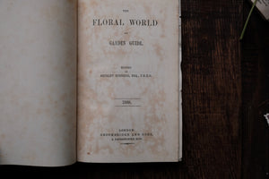 1860s - The Floral World & Garden Guide (loose page, not collectible)